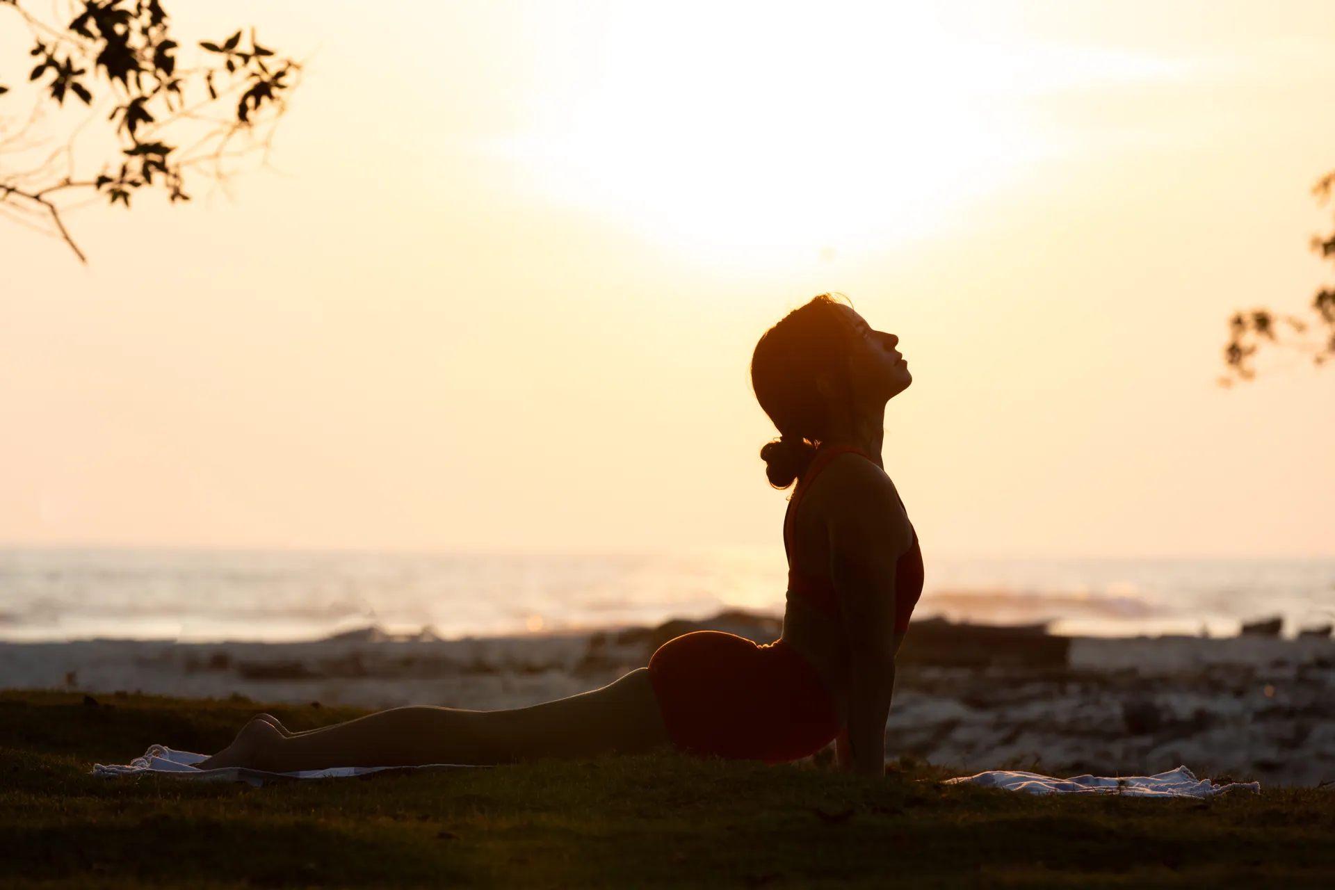 Upward-facing dog silhouetted against the ocean sunset